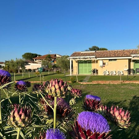 Villa Il Giardino Di Nunzia Principina Terra Exterior foto
