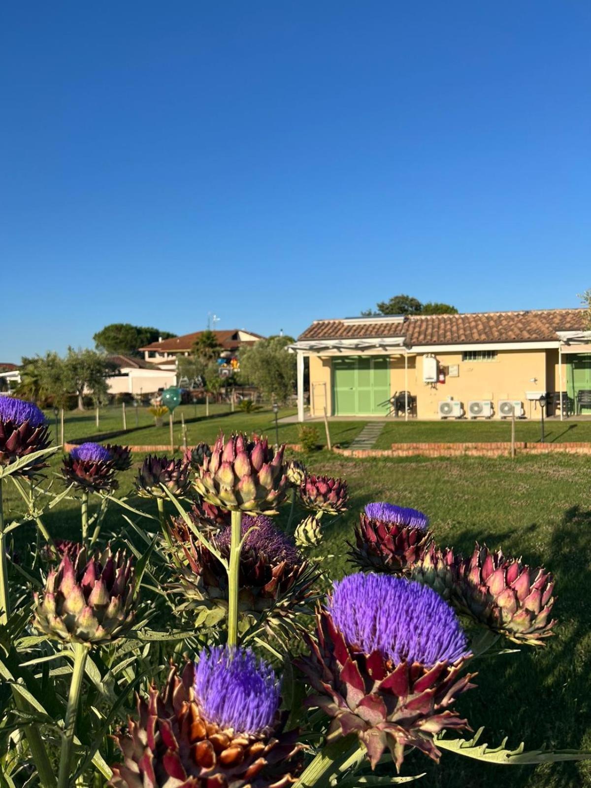 Villa Il Giardino Di Nunzia Principina Terra Exterior foto